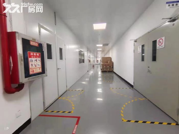 原房东！贴片无尘车间！！龙华清湖大型园区4700平厂房出租-图3