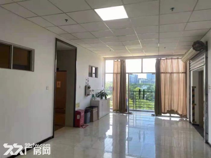 原房东！贴片无尘车间！！龙华清湖大型园区4700平厂房出租-图5