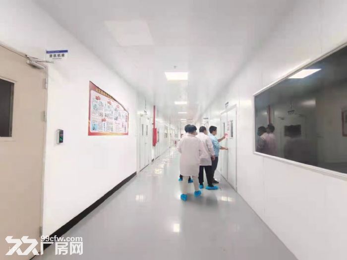原房东！贴片无尘车间！！龙华清湖大型园区4700平厂房出租-图6