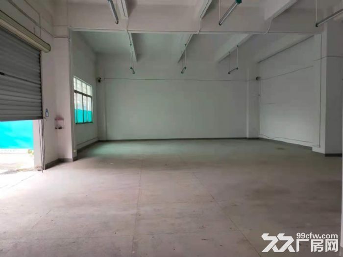 龙华大浪华荣路附近新出500平一楼精装厂房-图2