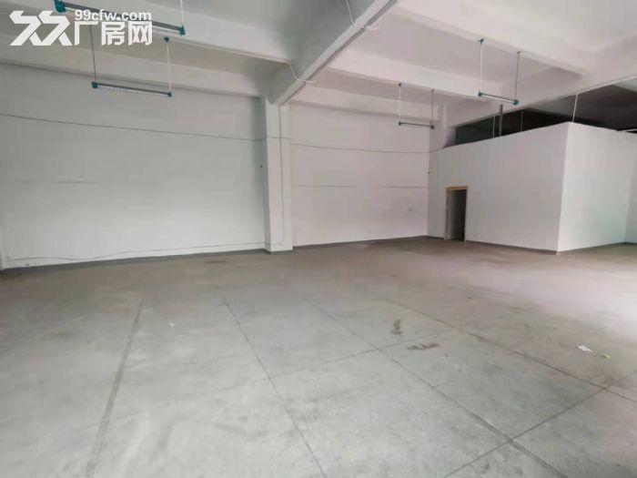 龙华大浪华荣路附近新出500平一楼精装厂房-图3