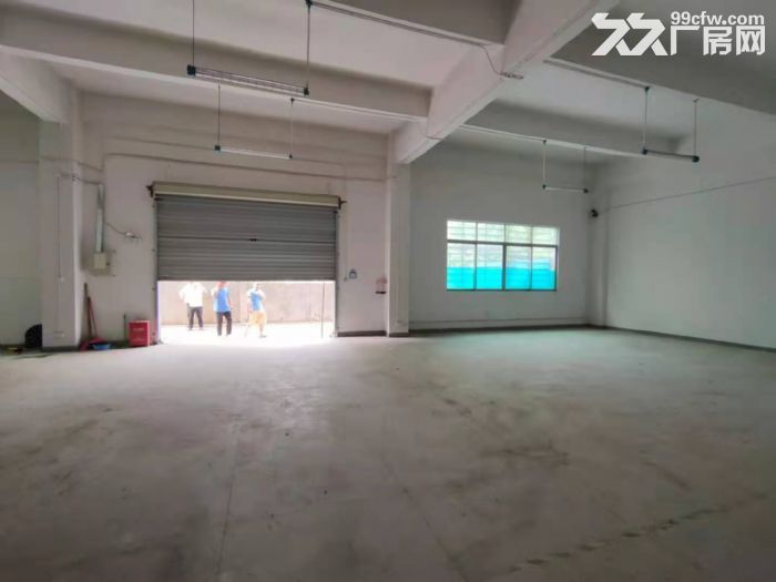 龙华大浪华荣路附近新出500平一楼精装厂房-图4
