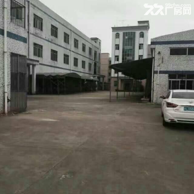 出租龙岗坪地北通道或龙岗大道钢构厂房2000平-图1