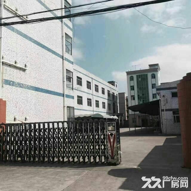 出租龙岗坪地北通道或龙岗大道钢构厂房2000平-图3