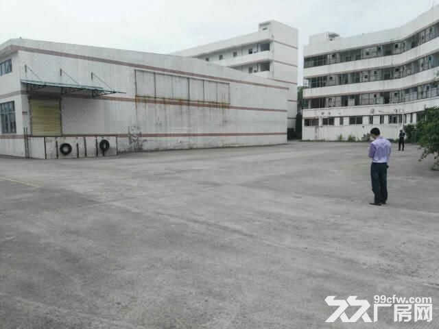 出租龙岗坪地北通道或龙岗大道钢构厂房2000平-图2