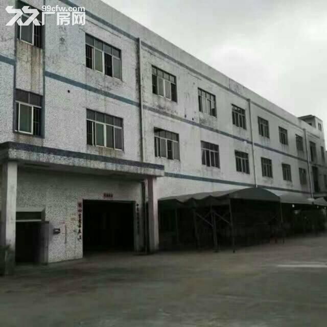 出租龙岗坪地北通道或龙岗大道钢构厂房2000平-图4