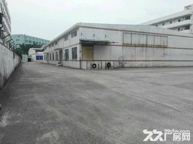 出租龙岗坪地北通道或龙岗大道钢构厂房2000平-图5