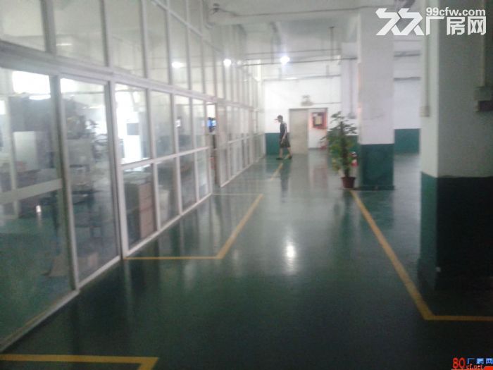 龙岗龙东新出小独院2400平米，带电梯-图1