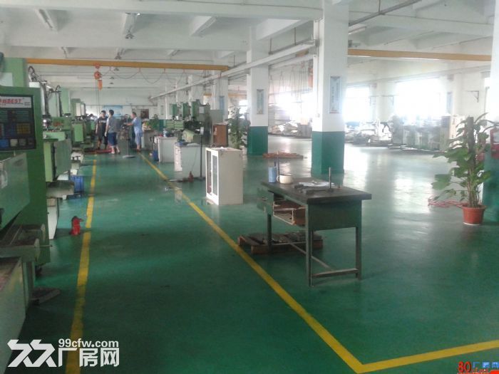 龙岗龙东新出小独院2400平米，带电梯-图2