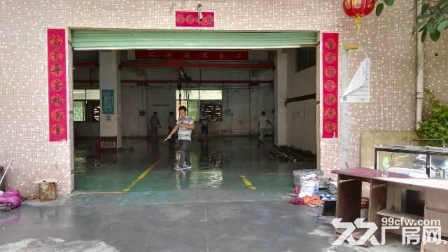 龙岗龙西新出独院一楼950平米厂房高5米-图1