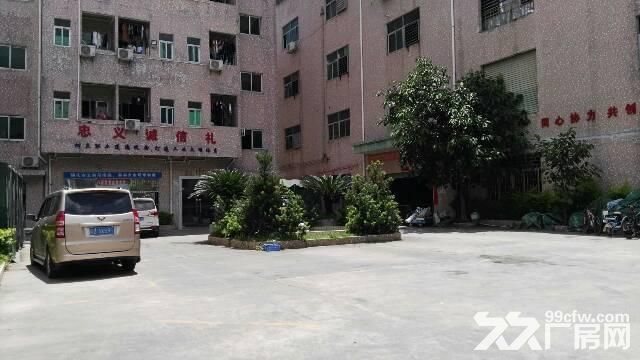 龙岗龙西新出独院一楼950平米厂房高5米-图4