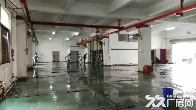 龙岗龙西新出独院一楼950平米厂房高5米-图5