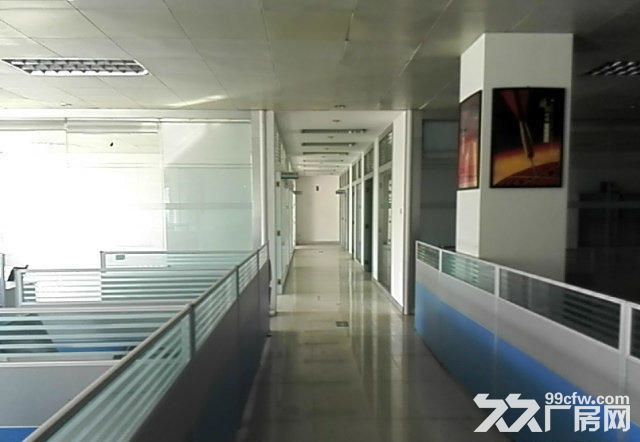 坪地5000平米花园式独院厂房出租-图6
