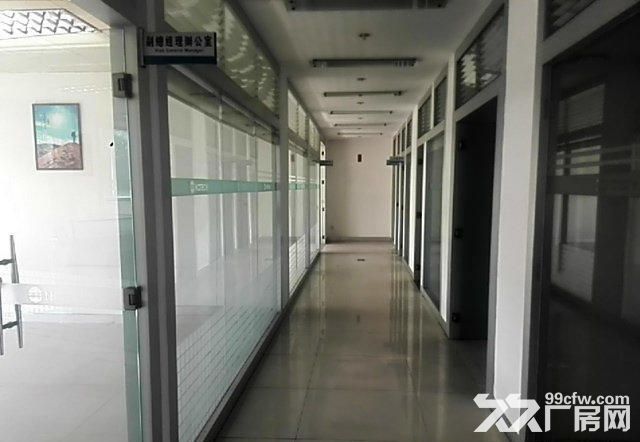 坪地5000平米花园式独院厂房出租-图5