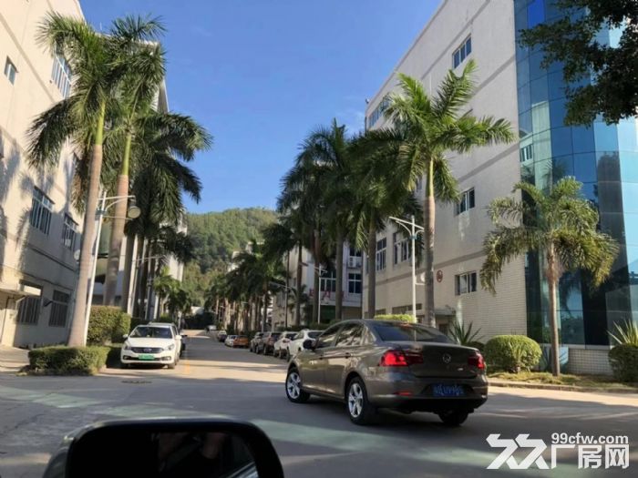 永湖地铁花园式厂房 楼上带装修2250平厂房出租-图3