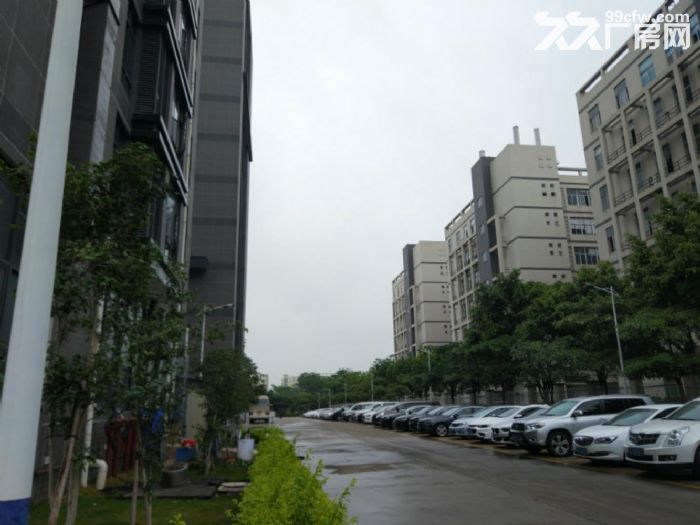 龙岗龙城广场地铁站附近新出厂房500平出租带精装修-图5