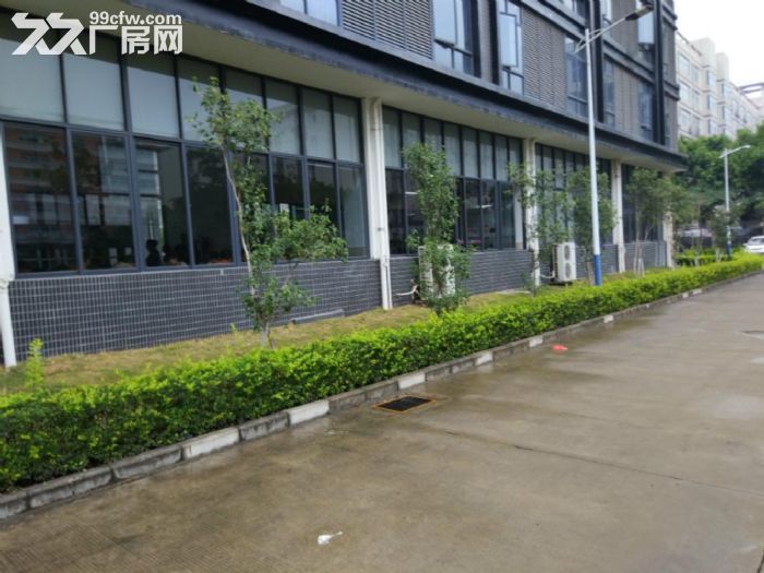 龙岗龙城广场地铁站附近新出厂房500平出租带精装修-图6