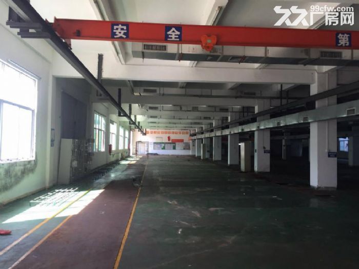 龙岗宝龙工业区新出独院8000平米，可整租可分租-图3