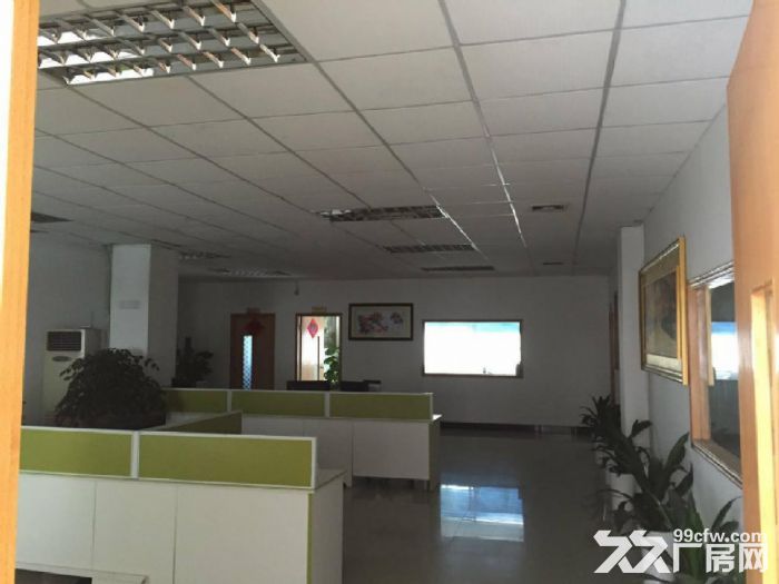 龙岗宝龙工业区新出独院8000平米，可整租可分租-图4