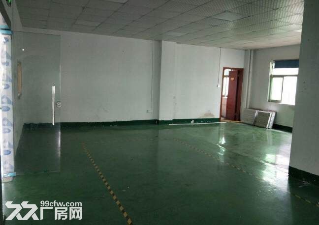 横岗安良新出大型产业园整体翻新合同长可大小分租-图2