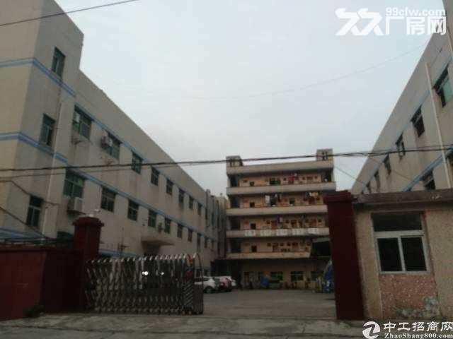 横岗新出原房东厂房3500平合同5年单价25空地超大厂房出租-图1