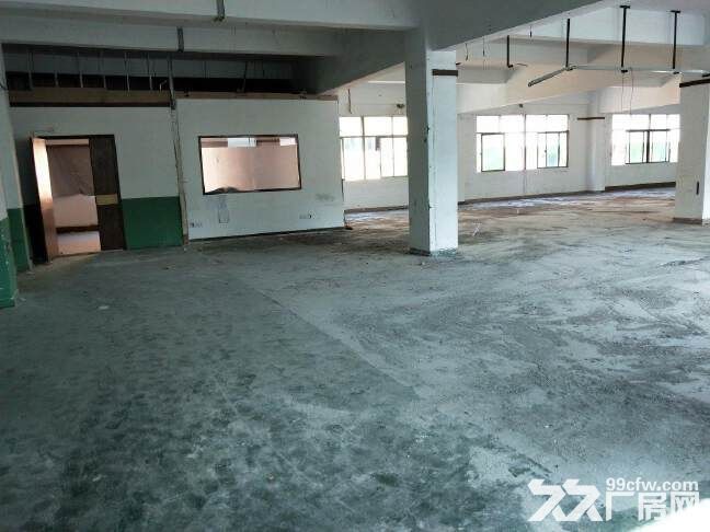 横岗新出原房东厂房3500平合同5年单价25空地超大厂房出租-图2