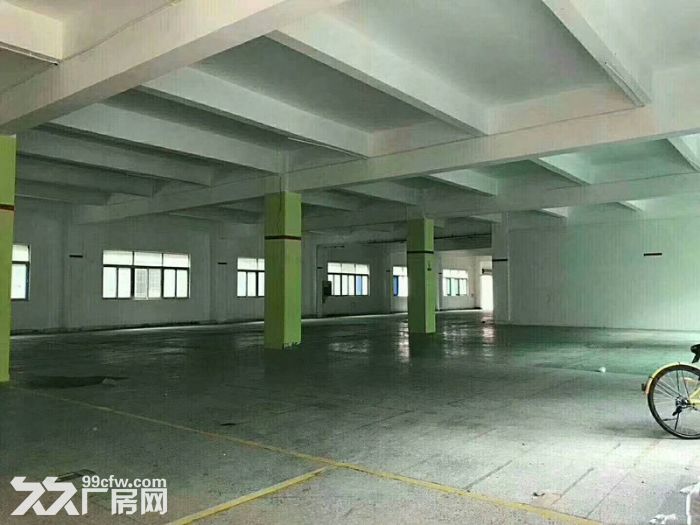 横岗地铁站独院4800平米厂房出租一楼1200平-图2