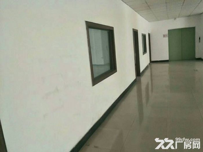 横岗地铁站独院4800平米厂房出租一楼1200平-图6