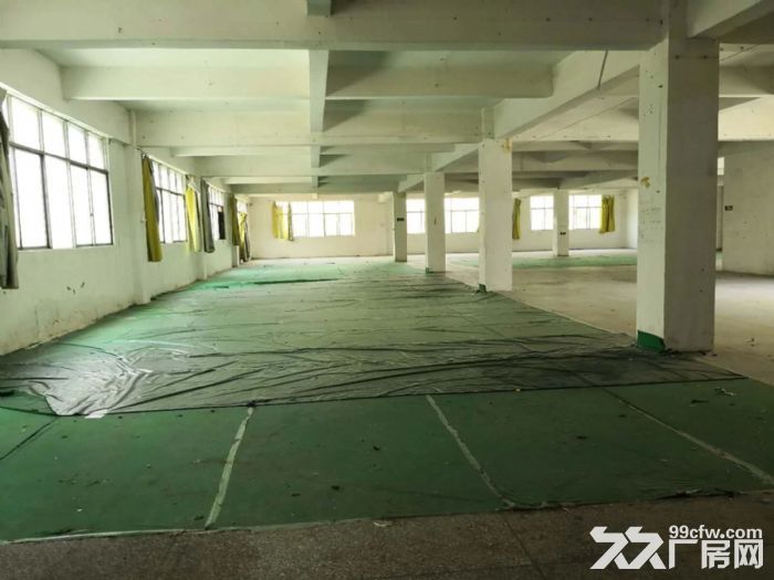 龙岗中心城爱南路标准厂房二楼1300平原房东-图1