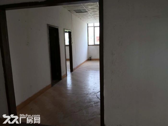 龙岗中心城爱南路标准厂房二楼1300平原房东-图6