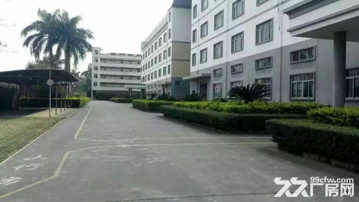 龙岗爱联嶂背工业区一二楼3000平米，房东急租-图3