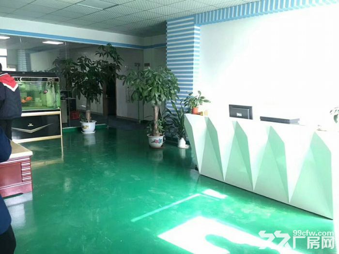 龙岗爱联嶂背工业区一二楼3000平米，房东急租-图5