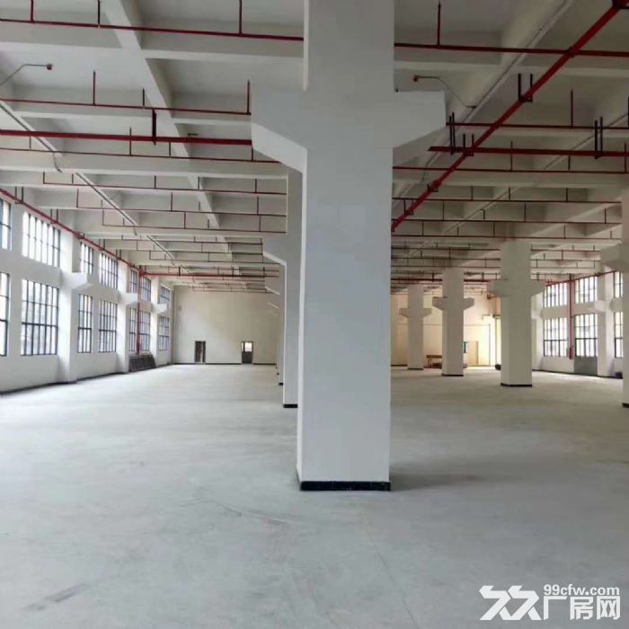 凤岗官井头全新独院厂房出租27000平米 近大运 大小可租-图3