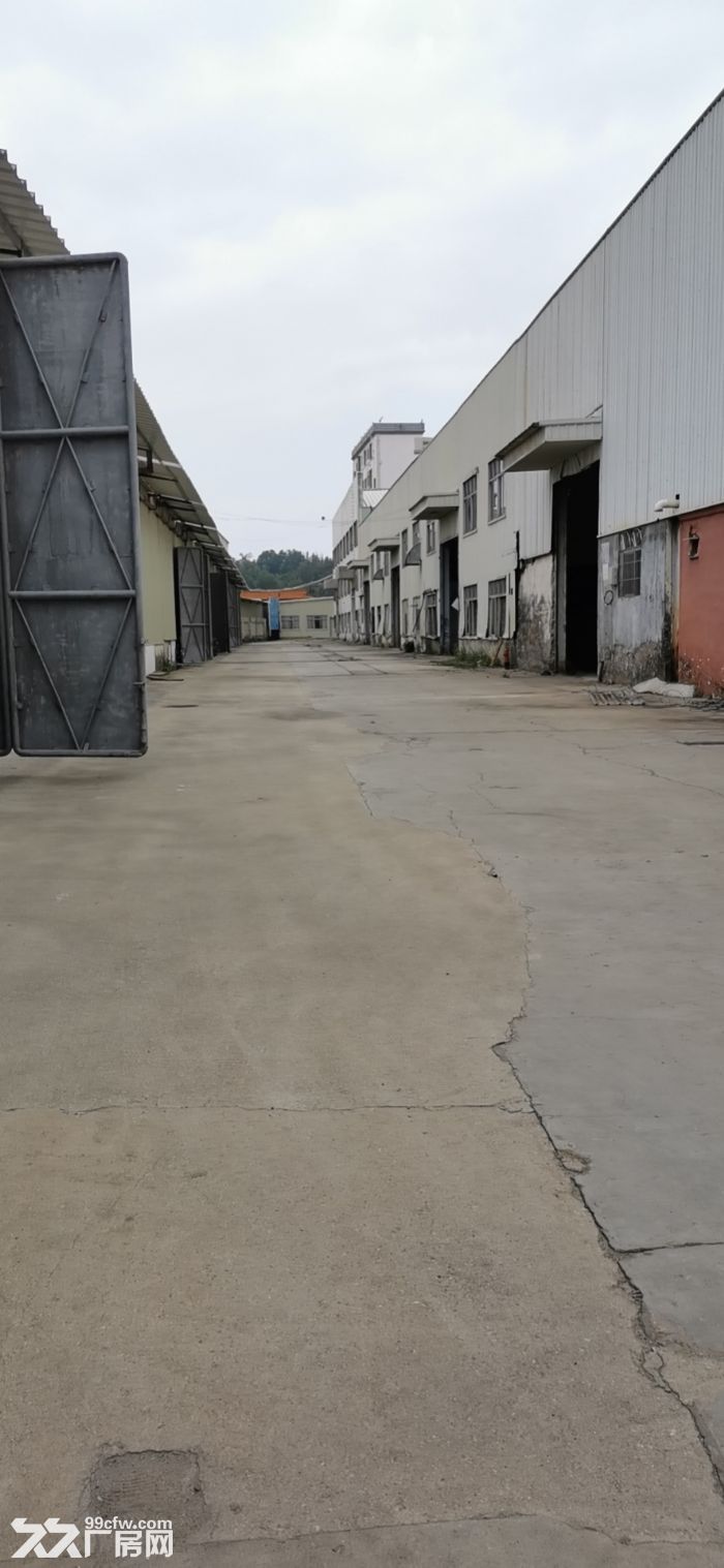有平台，有行车 空地大，龙华单一层钢构出租4万平 可分租-图5