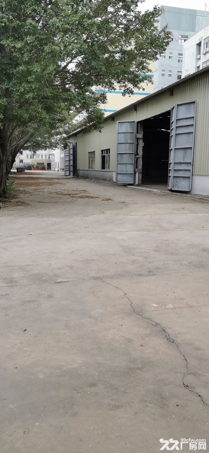 有平台，有行车 空地大，龙华单一层钢构出租4万平 可分租-图6