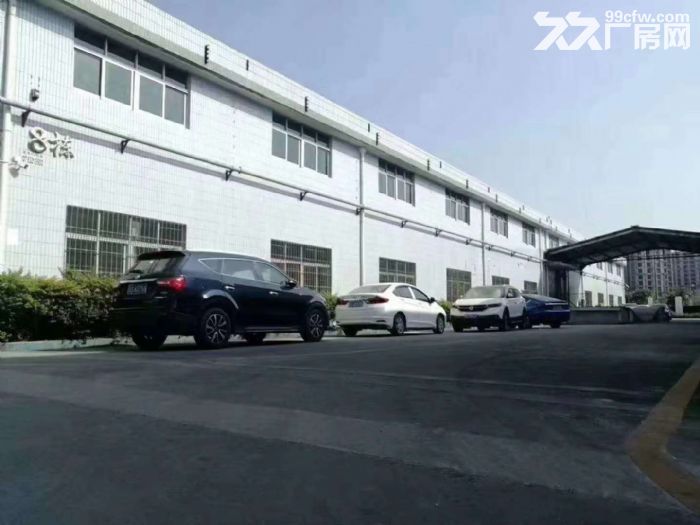 光明高速出口松白路旁 单一层钢构厂房出租6500平-图1