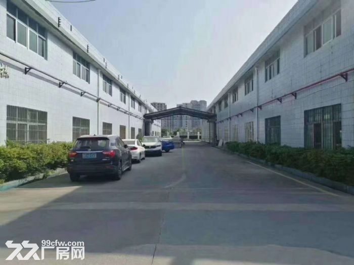 光明高速出口松白路旁 单一层钢构厂房出租6500平-图3
