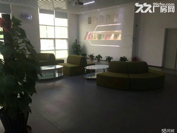 平湖华南城大型工业区红本厂房20000平方厂房出租，消防环保手续齐全！带装修，大-图5