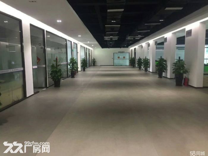 平湖华南城大型工业区红本厂房20000平方厂房出租，消防环保手续齐全！带装修，大-图4