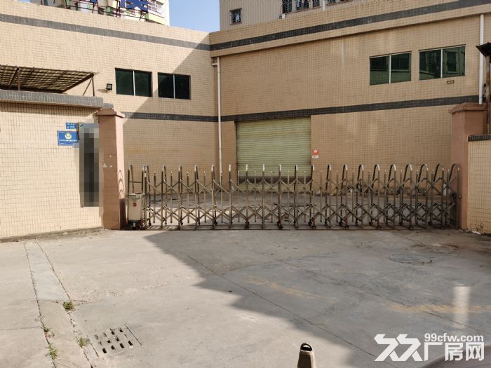 塘厦单一层小独院厂房2000平米出租带装修-图3
