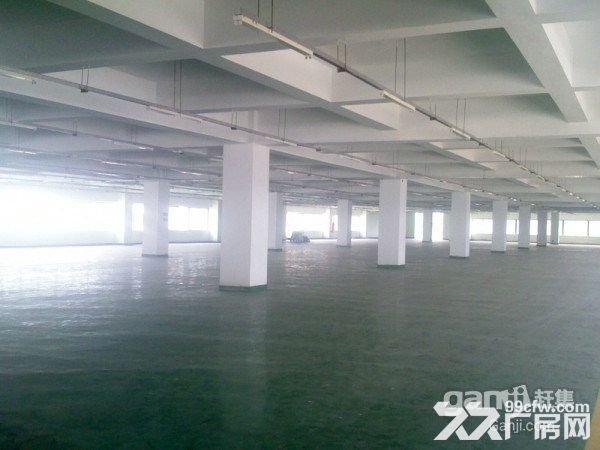 龙岗南联新出带装修厂房1100平-图2