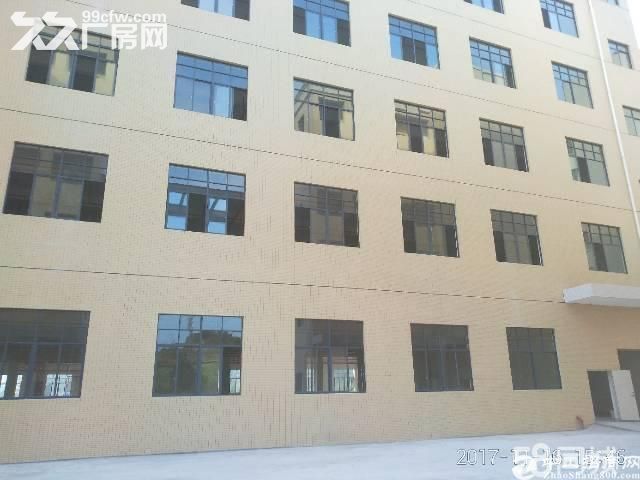 龙岗中心城6000平独栋厂房出租可分租-图1