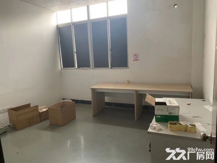 大浪商业中心附近新出厂房330平-图7