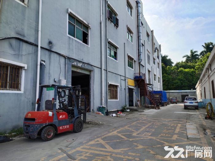 龙岗区布吉上李朗方鑫路20号莱茵工业区楼上仓库330平出租-图3