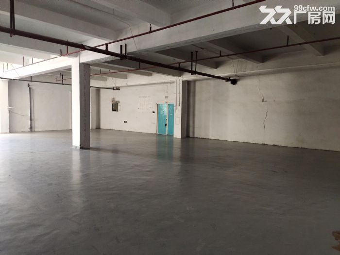 龙岗区布吉上李朗方鑫路20号莱茵工业区楼上仓库330平出租-图4