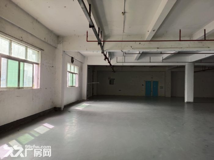 龙岗区布吉上李朗方鑫路20号莱茵工业区楼上仓库330平出租-图5