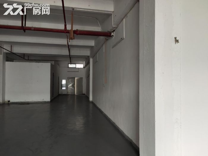 龙岗区布吉上李朗方鑫路20号莱茵工业区楼上仓库330平出租-图6