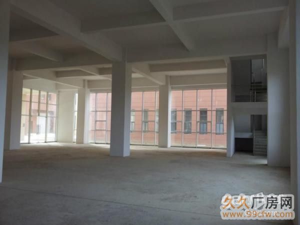 龙岗龙西村精装修,现成水电独院8000平米-图2