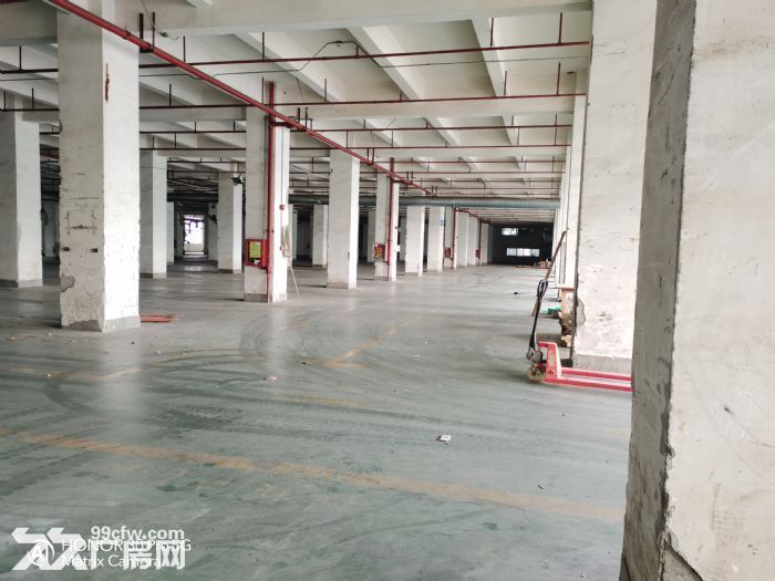 观澜一楼厂房仓库8000平米出租-图3