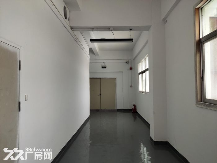 龙岗区上李朗方鑫路20号莱茵工业区楼上290平红本才厂房出租-图2